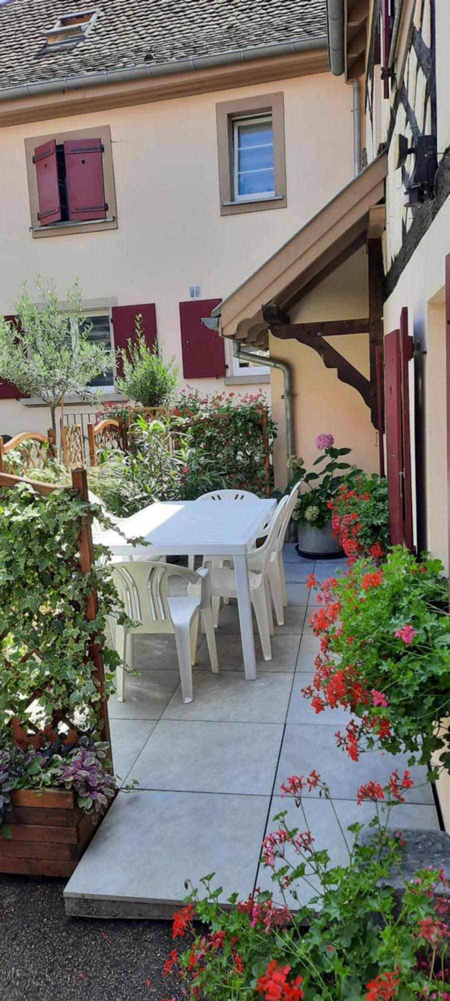 Le Repaire Des Hirondelles - Le Colombage Vila Scharrachbergheim-Irmstett Exterior foto